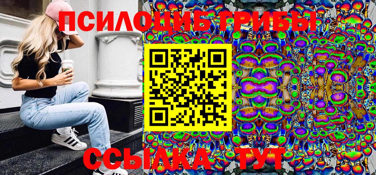 Псилоцибиновые грибы Psilocybine cubensis Урай